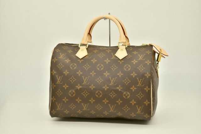 LOUIS VUITTON ハンドバッグ スピーディ30 モノグラム - tsm.ac.in